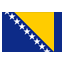Bosnian Flag