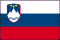 slovenia flag